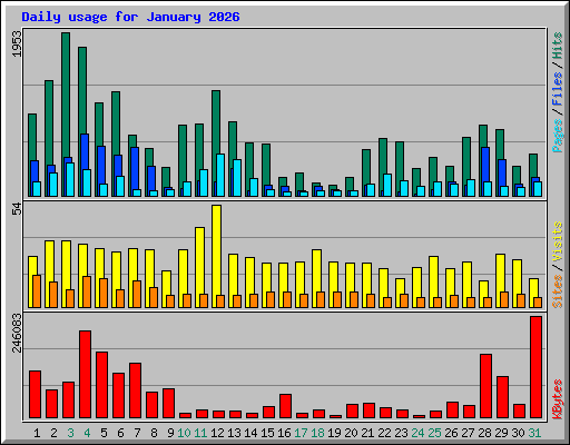 Daily usage for January 2026