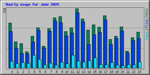 Hourly usage for June 2025