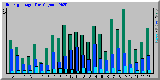 Hourly usage for August 2025