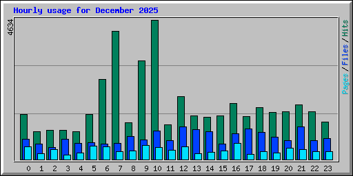 Hourly usage for December 2025