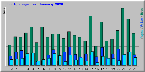 Hourly usage for January 2026